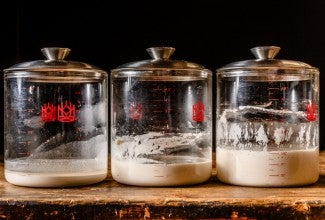 Three crocks of sourdough starter next to each other
